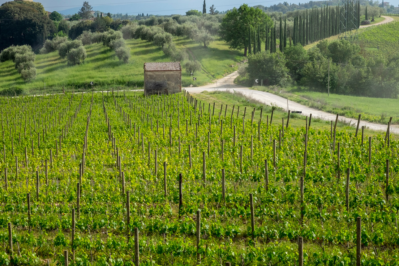 borgo-argiano-tuscany-paolocicognani-wedding-2
