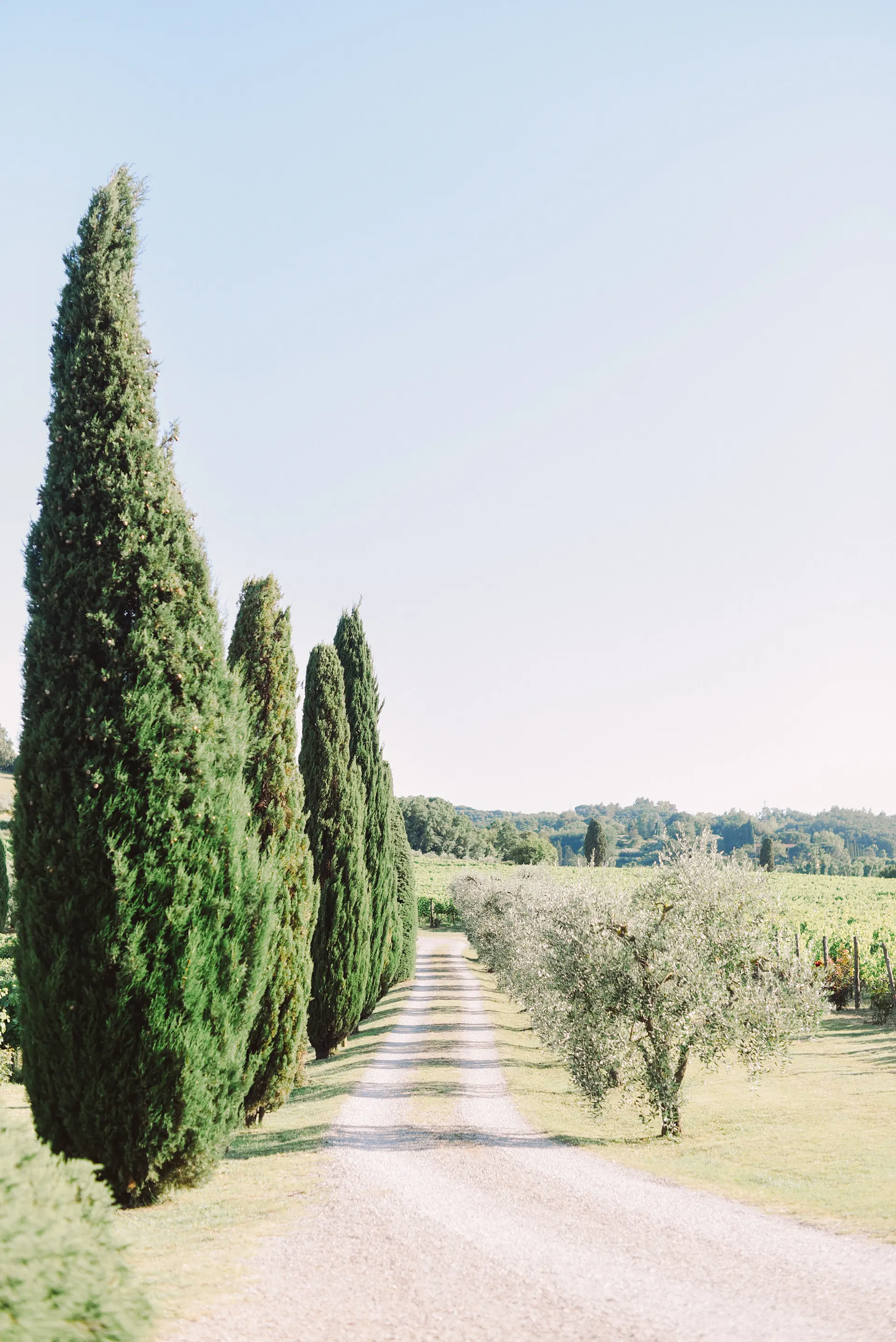 Poggio-al-Casone-wedding-Reception-41