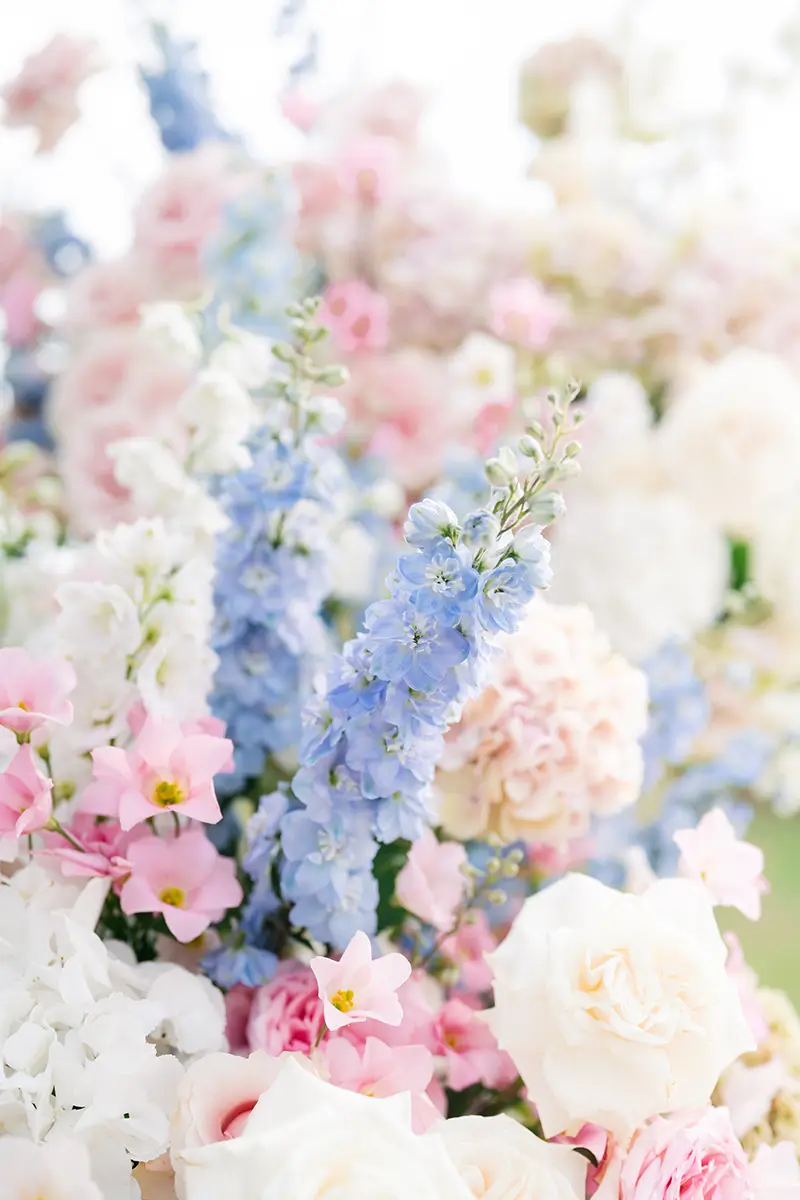 Cecilie-&amp;-Mark-Cicognani-Wedding-Planner-107