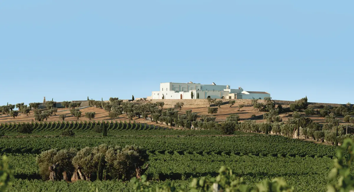 masseria-amastuola-wedding-8