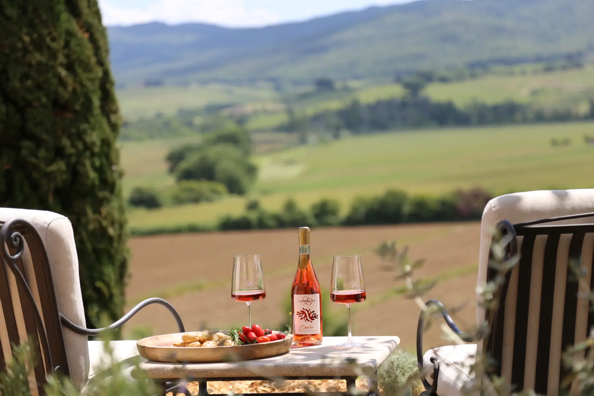 Ombroneta-Tuscany-Cicognani-Wedding-9