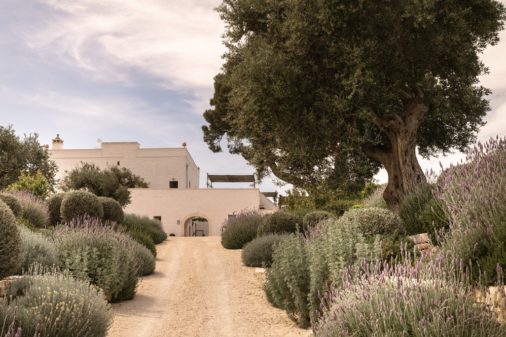 Masseria AuraTerrae wedding in the garden